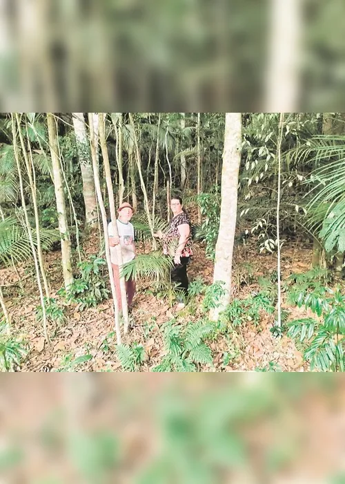 Imagem ilustrativa da imagem Salvar a natureza é um negócio que dá dinheiro