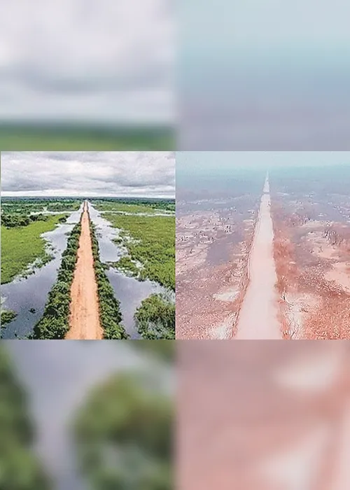 Imagem ilustrativa da imagem Fazendeiros  investigados por queimadas no Pantanal