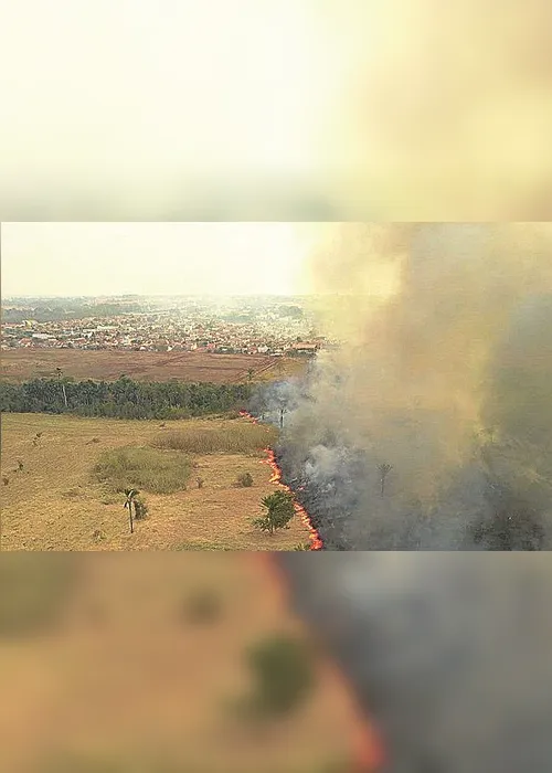 Imagem ilustrativa da imagem Fazendeiros  investigados por queimadas no Pantanal