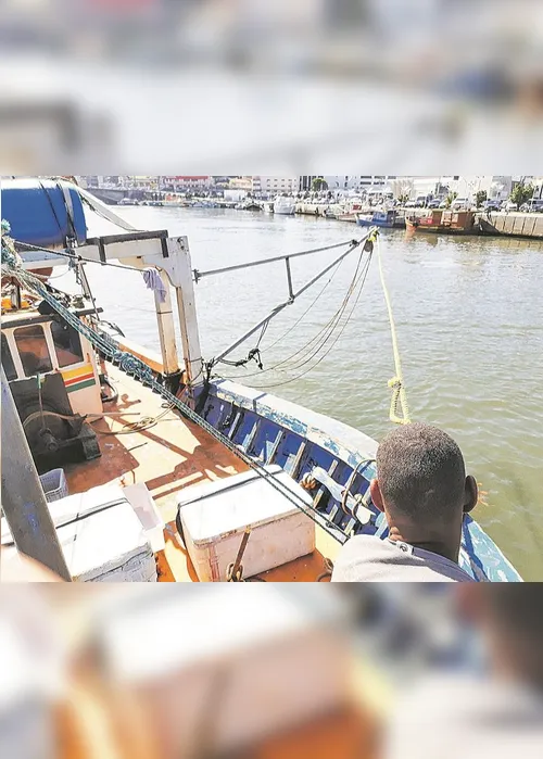 Imagem ilustrativa da imagem Arrastões transformam o fundo do mar em deserto