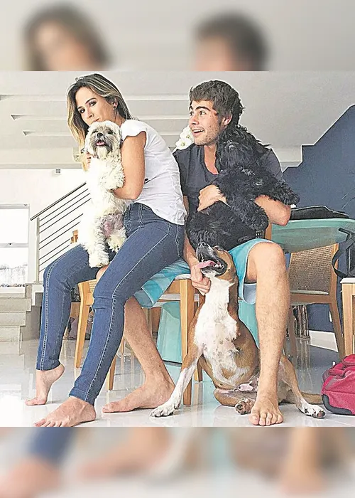 Imagem ilustrativa da imagem A vez dos vira-latas e dos pets deficientes