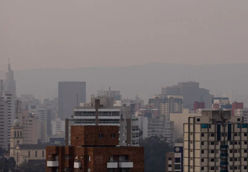 Fumaça de queimadas do Pantanal chegam até São Paulo