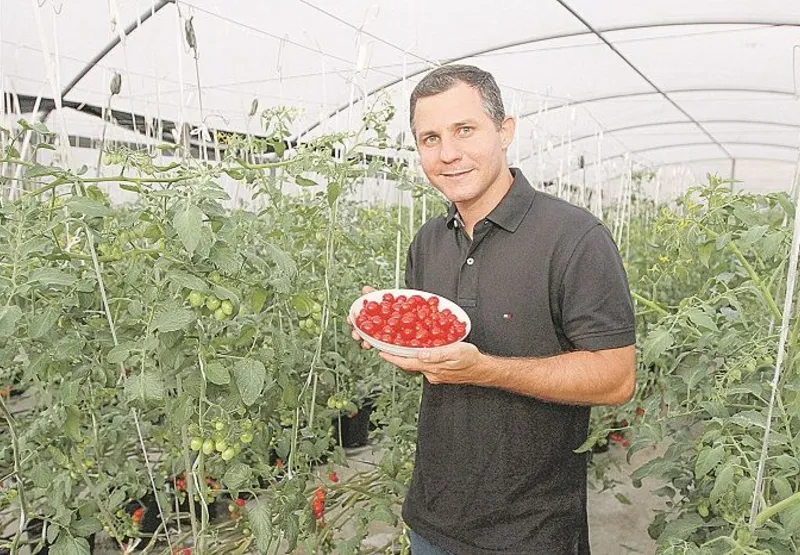 O Biólogo  Leonardo Zanetti   produz, no terraço da casa dos pais, 55 quilos de tomate sem agrotóxicos por semana
