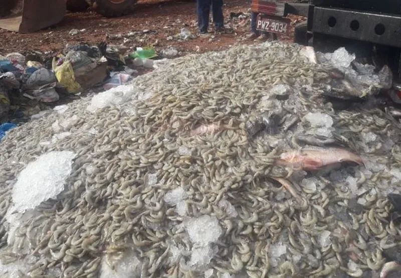 Ao todo, mais de 10 toneladas foram para o lixo, e o prejuízo para os pescadores ultrapassa os R$ 140 mil