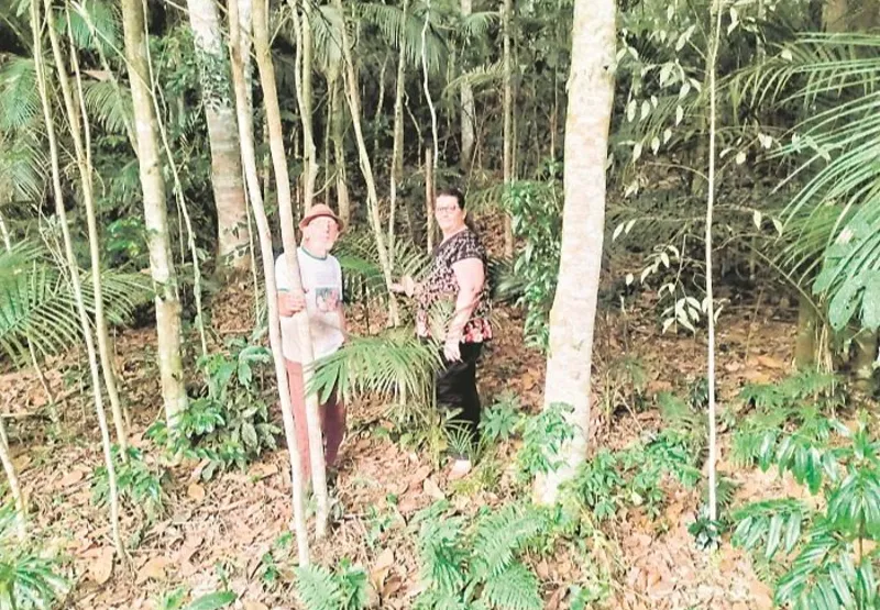 Marineuza e Helmut: o casal, morador de Santa Maria de Jetibá, recebe R$ 4 mil por ano com reflorestamento