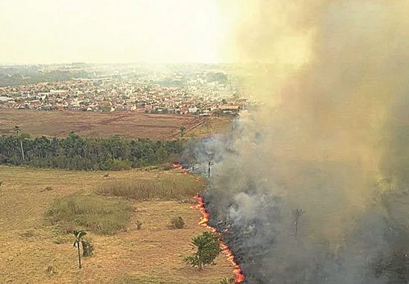 Foco de incêndio no Pantanal: mais de 2,9 milhões de hectares na região foram destruídos pelo fogo este ano