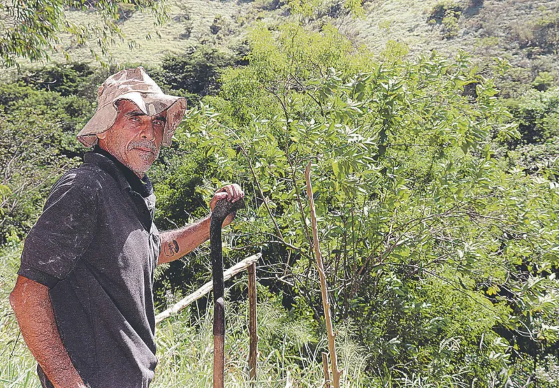 Vaquinha para ajudar Newton Campos, 62 anos, a recuperar o Sítio Jaqueira, um santuário ecológico em Alegre, na Região do Caparaó, destruído pelo incêndio