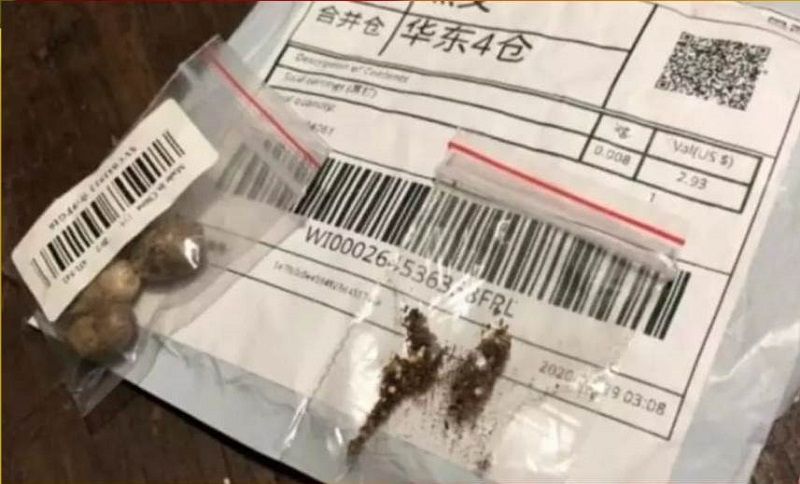 Os pacotes são enviados pelo correio como brindes de outras compras feitas pela internet ou mesmo de forma aleatória, sem que o destinatário tenha pedido nada no exterior (Foto: Divulgação/ Twitter)