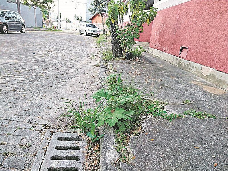:Rua Joaquim Leopoldino Lopes, no bairro Consolação, em Vitória. (Foto: Ana Lucia Ronchi Faria)