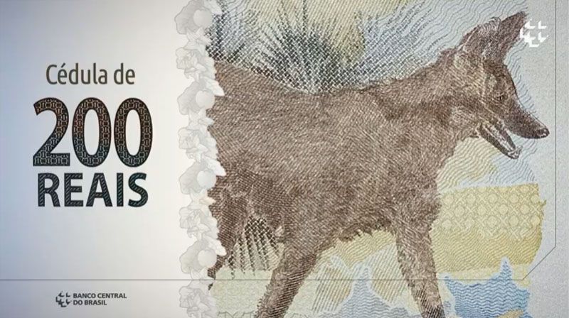 Imagem do lobo-guará na cédula de R$ 200 (Foto: Reprodução / Youtube)