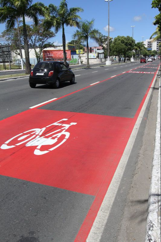 Ciclofaixa na Avenida Beira Mar (Foto: Adriano Horta / Arquivo AT)