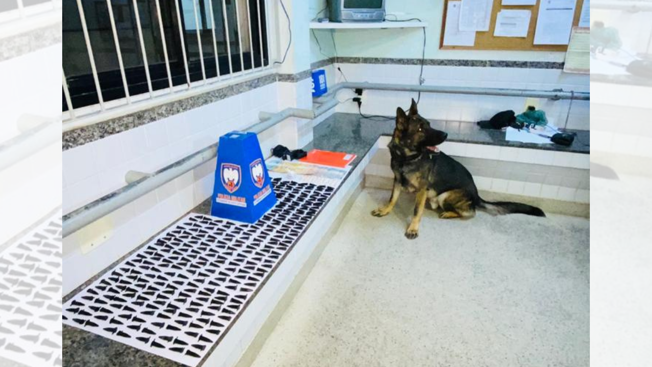 Drogas que estavam com o suspeito de cometer o crime (Foto: Polícia Civil)