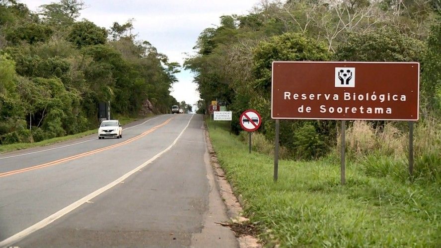 Estrada próximo a Reserva Biológica de Sooretama (Foto: Internet)