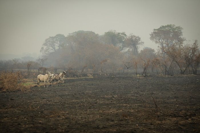 (Foto: Arquivo/Estadão Conteúdo)