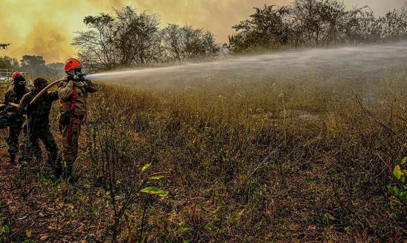 Bombeiros combatem incêndio no Pantanal (Foto: Mayke Toscano/Secom-MT)