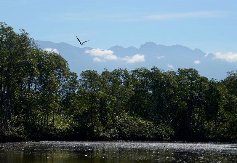 A Justiça Federal no Rio de Janeiro havia suspendido provisoriamente a decisão aprovada pelo Conama de revogar duas resoluções do próprio órgão (Foto: Tânia Rêgo/ Agência Brasil)