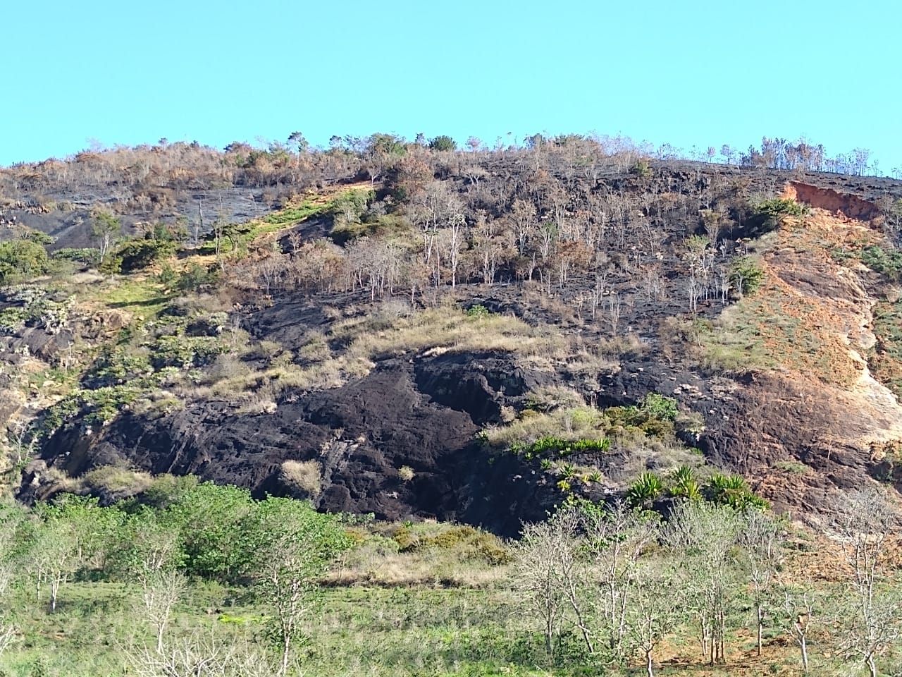 Local onde o incêndio aconteceu (Foto: Polícia Ambiental)