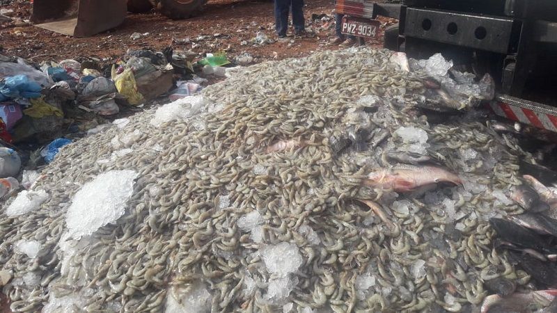 Ao todo, mais de 10 toneladas foram para o lixo, e o prejuízo para os pescadores ultrapassa os R$ 140 mil (Foto: Divulgação)