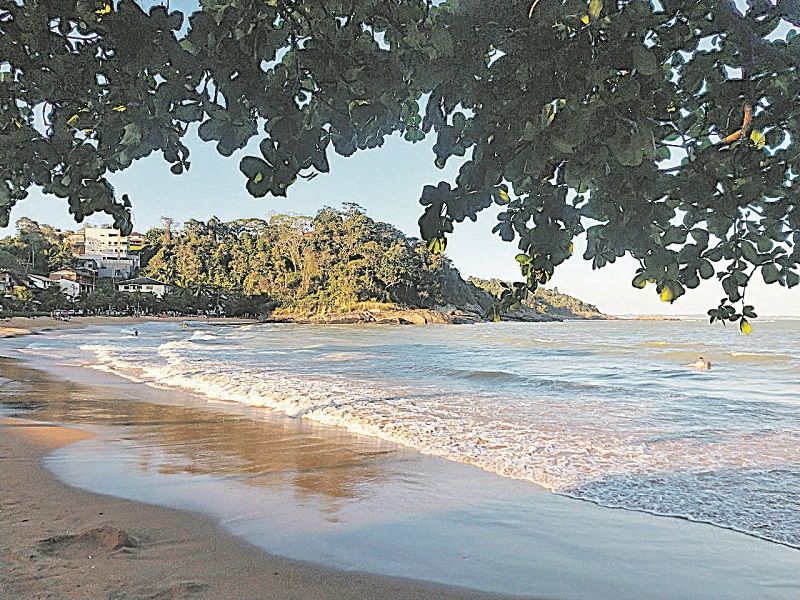 (Foto: Reprodução/Jornal A Tribuna)