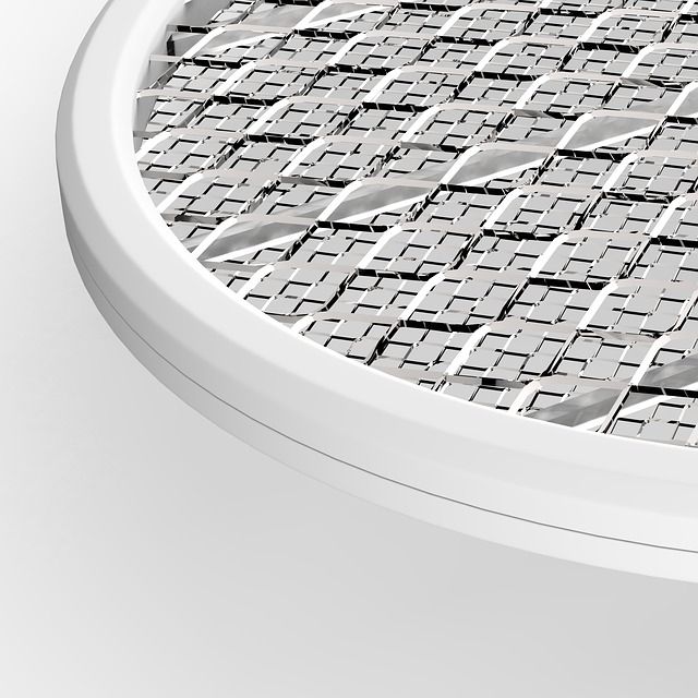 Raquete elétrica para matar insetos (Foto: Pixabay)