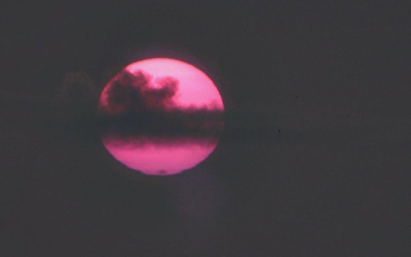 (Foto: Vanda Lopes)