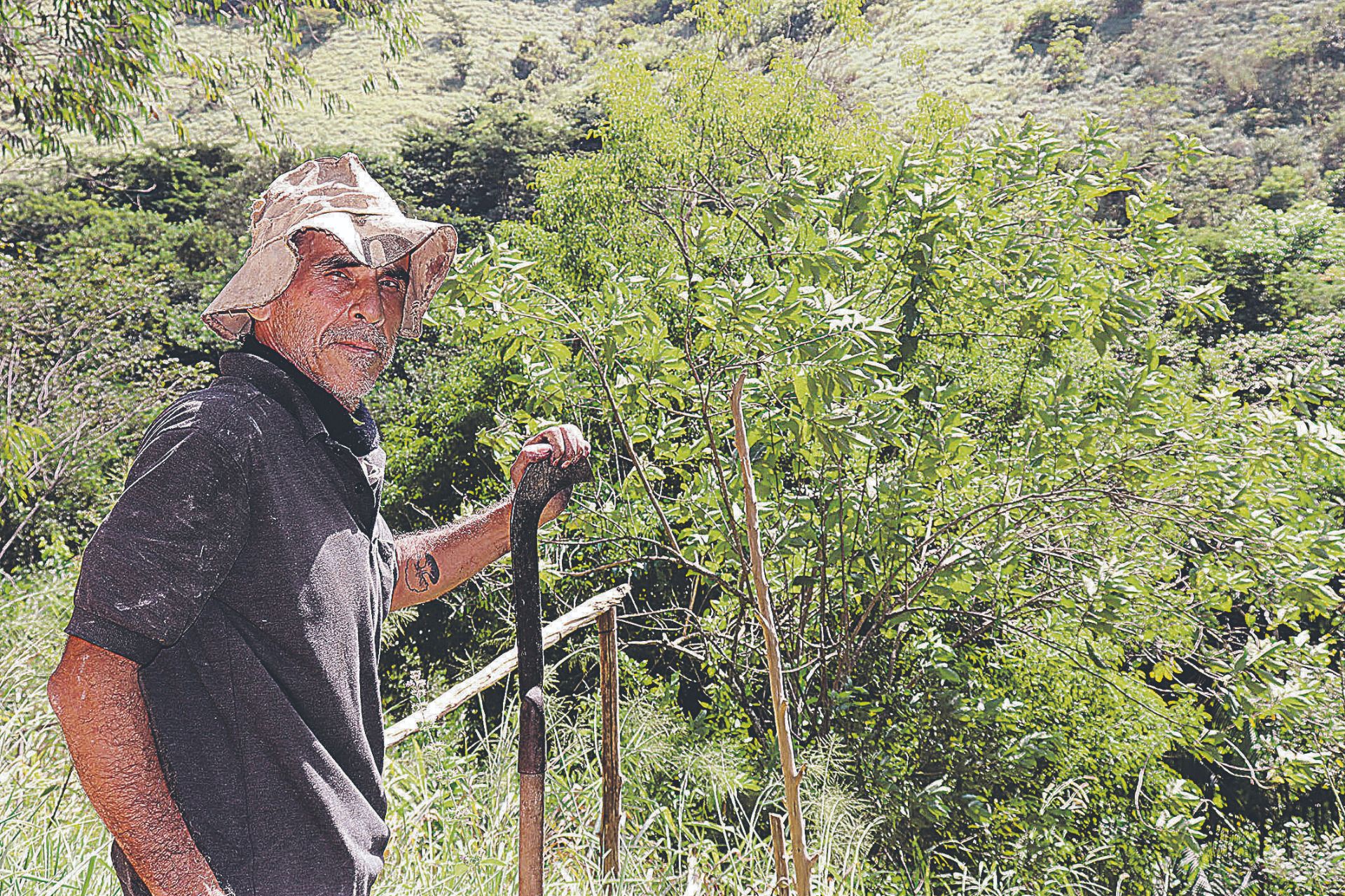 Vaquinha para ajudar Newton Campos, 62 anos, a recuperar o Sítio Jaqueira, um santuário ecológico em Alegre, na Região do Caparaó, destruído pelo incêndio (Foto: Alessandro de Paula)