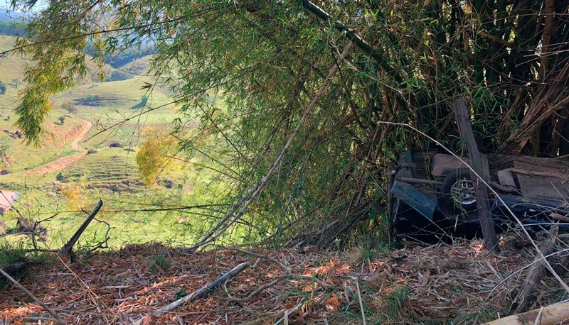 Veículo foi amparado pela vegetação (Foto: Divulgação)