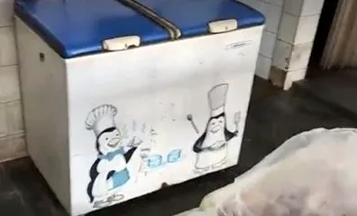 Imagem ilustrativa da imagem Aviário vendia pombos como se fossem galetos