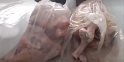 Operação fecha abatedouro clandestino suspeito de vender carne de