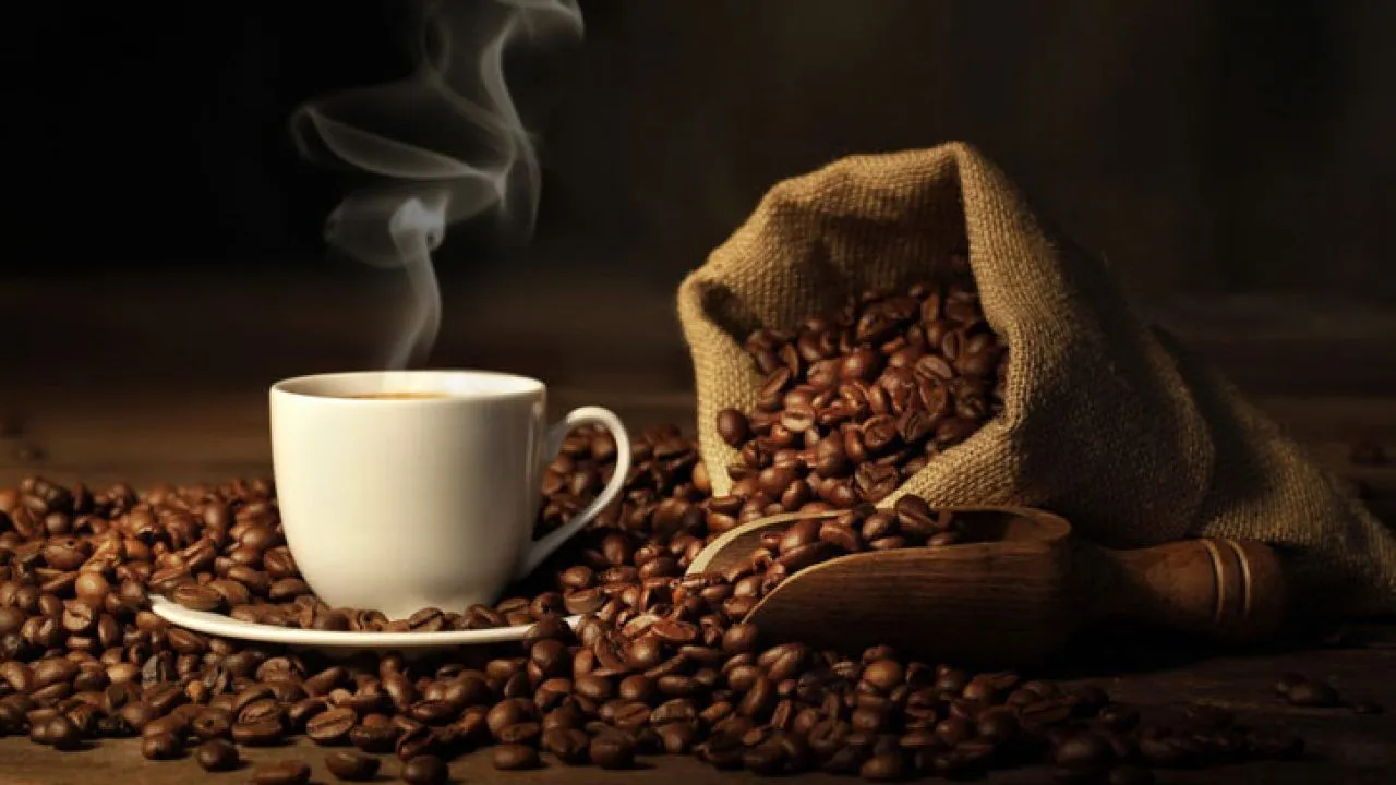 Imagem ilustrativa da imagem A verdade sobre a cafeína
