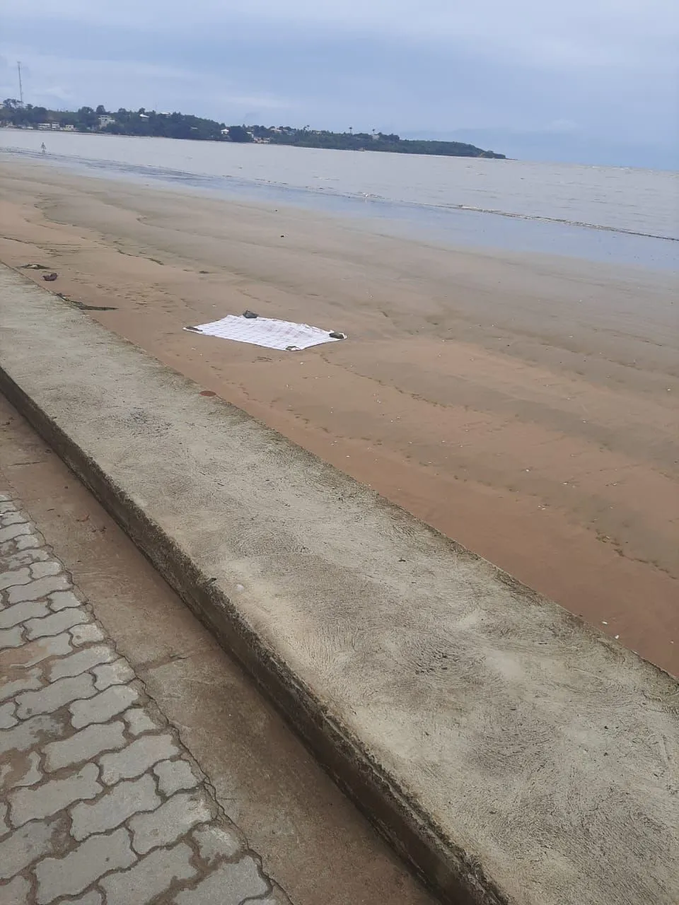 Imagem ilustrativa da imagem Mistério na morte de ambientalista