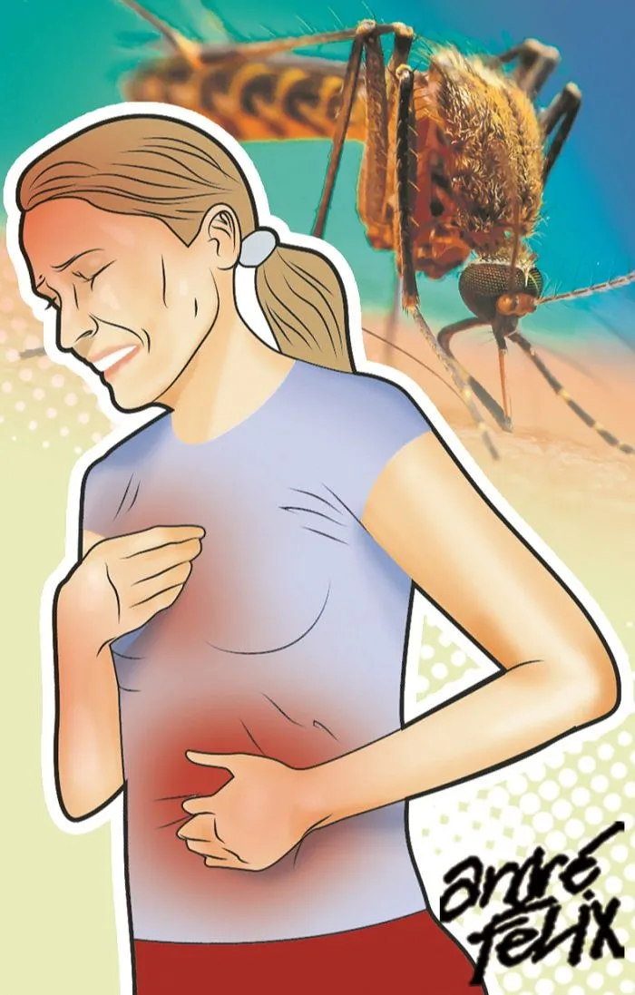 Imagem ilustrativa da imagem Febre alta a cada 48 horas pode ser sinal de malária