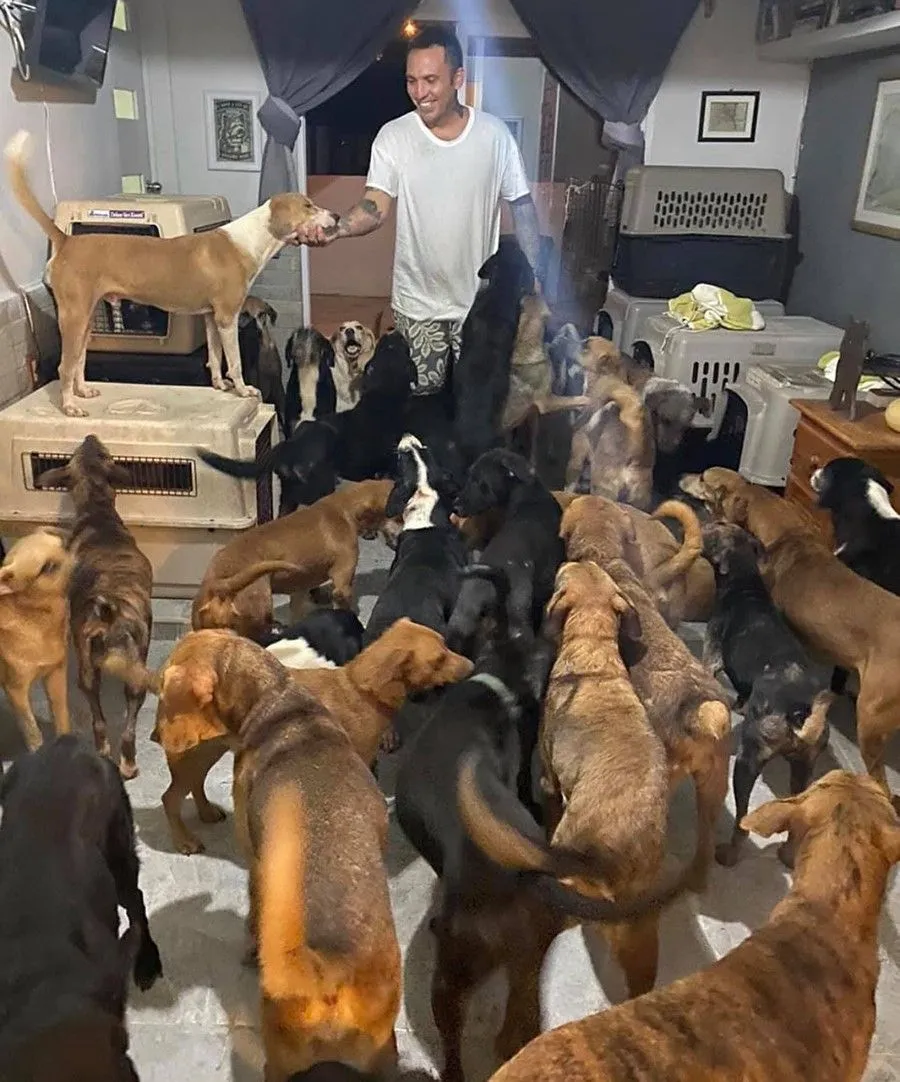 Imagem ilustrativa da imagem Para proteger de furacão, homem leva 300 animais abandonados para casa. Veja fotos