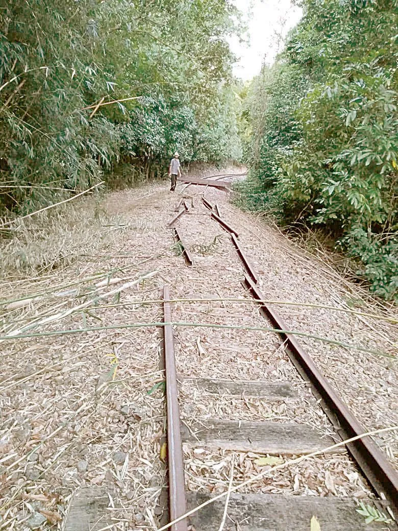 Imagem ilustrativa da imagem Grupo se une para recuperar linha de trem abandonada