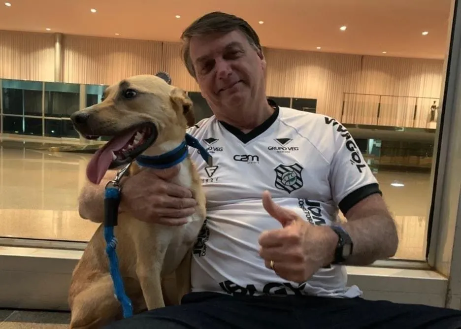Imagem ilustrativa da imagem Bolsonaro posta foto ao lado de cão e diz: 'vacina obrigatória só no Faísca'