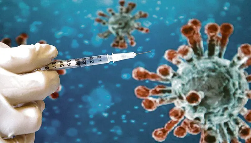 Imagem ilustrativa da imagem Alerta para risco de nova pandemia: o coronavírus suíno