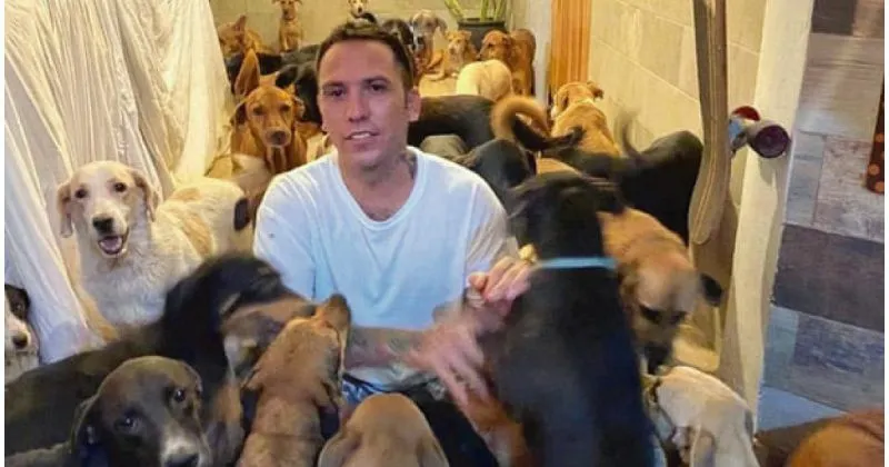 Imagem ilustrativa da imagem Para proteger de furacão, homem leva 300 animais abandonados para casa. Veja fotos