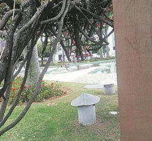 Imagem ilustrativa da imagem Lago vira piscina