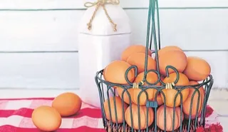 Imagem ilustrativa da imagem Comer ovo todo dia faz mal à saúde?