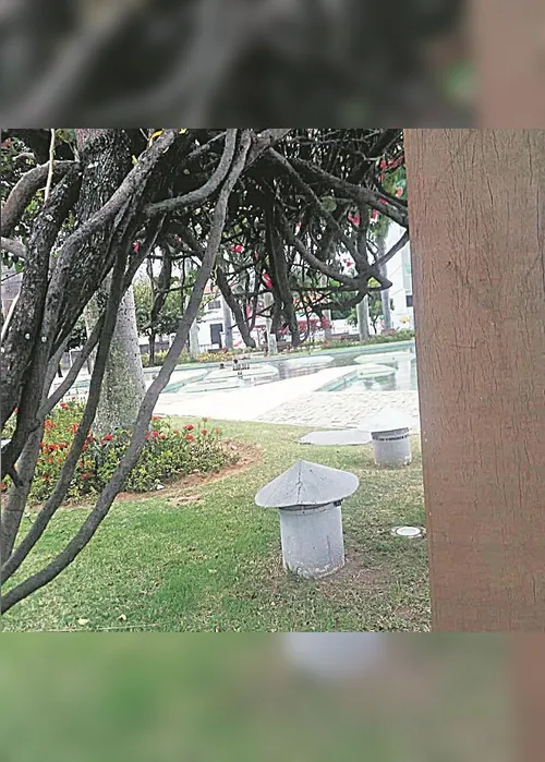 Imagem ilustrativa da imagem Lago vira piscina