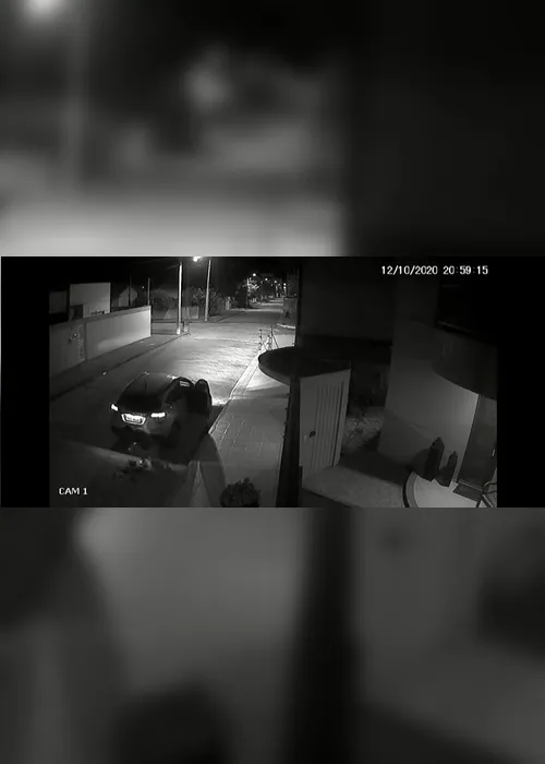 Imagem ilustrativa da imagem Acusado alegou que cachorro estava com "fome e em sofrimento"