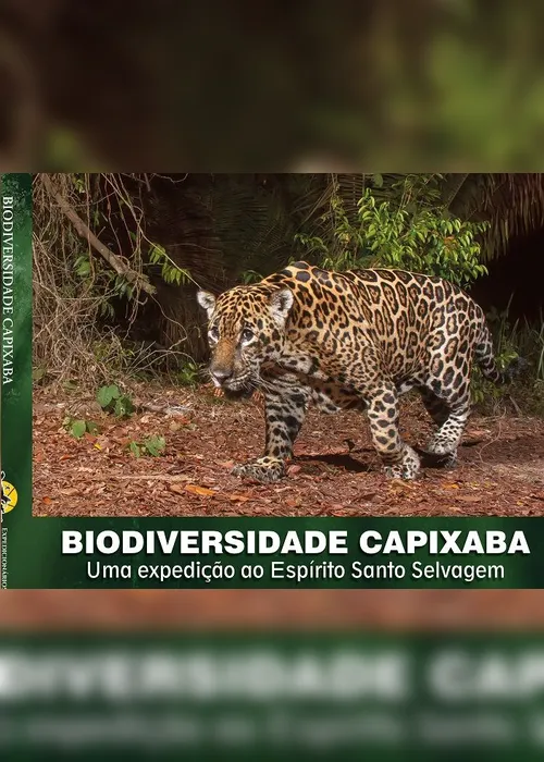 Imagem ilustrativa da imagem Espécie de veado é vista na Mata Atlântica do Estado pela primeira vez