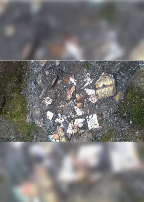Imagem ilustrativa da imagem Pastor vai ter de pagar R$ 61 mil após acender fogueira no topo do Pico da Bandeira