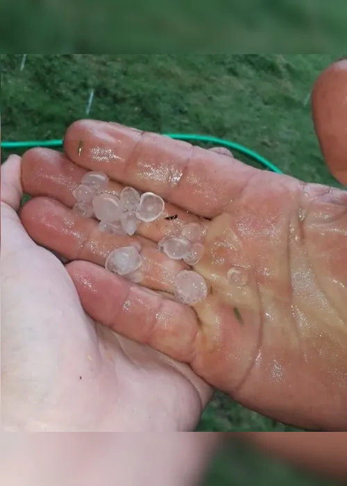 Imagem ilustrativa da imagem Instituto emite novo alerta de tempestade, granizo e vendaval no Estado