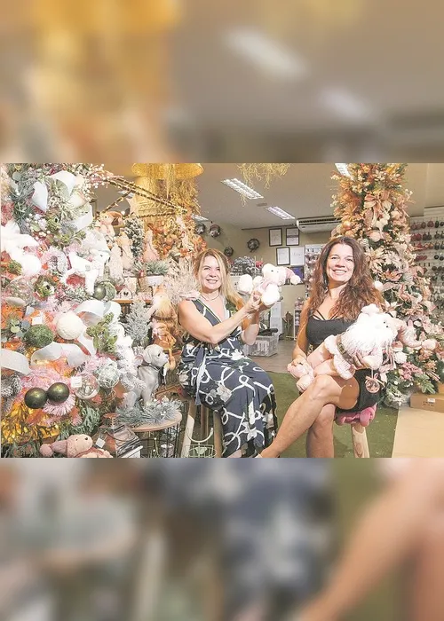 Imagem ilustrativa da imagem Novidades para decoração de Natal nas lojas
