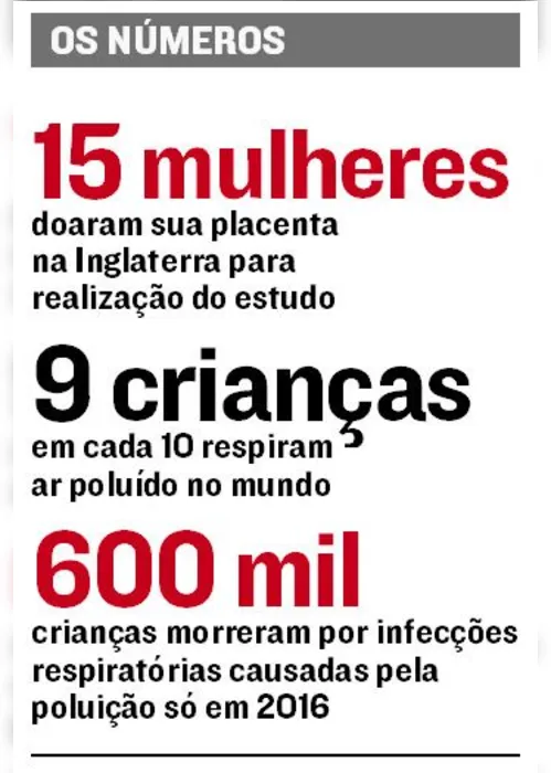 Imagem ilustrativa da imagem Poluição chega até a placenta, diz estudo