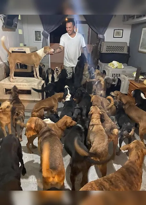Imagem ilustrativa da imagem Para proteger de furacão, homem leva 300 animais abandonados para casa. Veja fotos