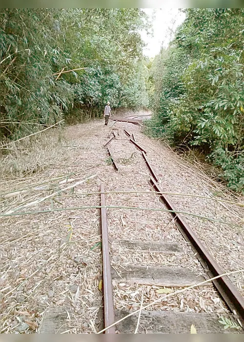 Imagem ilustrativa da imagem Grupo se une para recuperar linha de trem abandonada