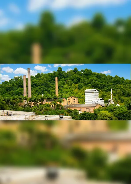 Imagem ilustrativa da imagem Usina interditada após denúncia volta a funcionar no Sul do Estado