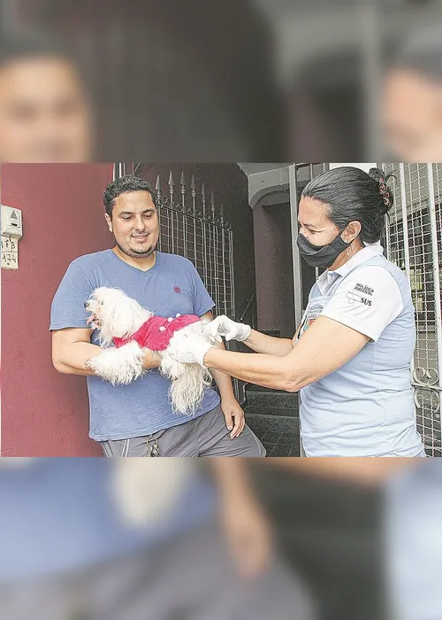 Imagem ilustrativa da imagem Vacinação para cães e gatos em 201 bairros